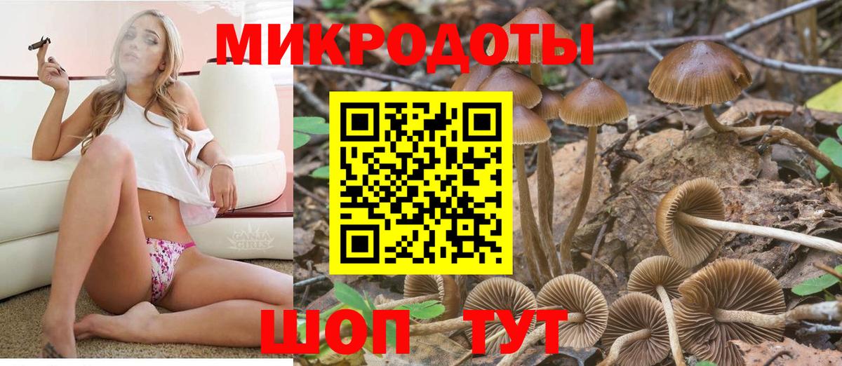 Геленджик  Галлюциногенные грибы GOLDEN TEACHER  Галлюциногенные грибы прущие грибы  Вход с VPN 